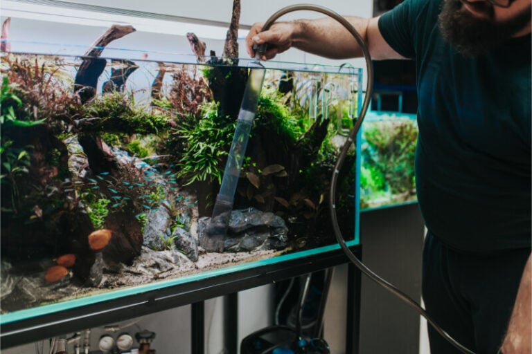 The Hack That Makes Aquarium Water Changes Automatic