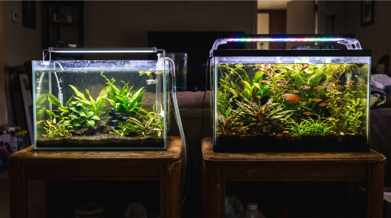A side-by-side comparison of a 10-gallon rimless aquarium and a 20-gallon standard rimmed aquarium lit up at night