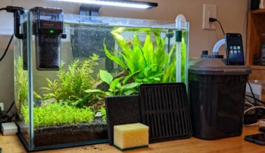a freshwater aquarium filter comparison in a home fish room, a small sponge filter, hang-on-back filter, internal filter, undergravel plate