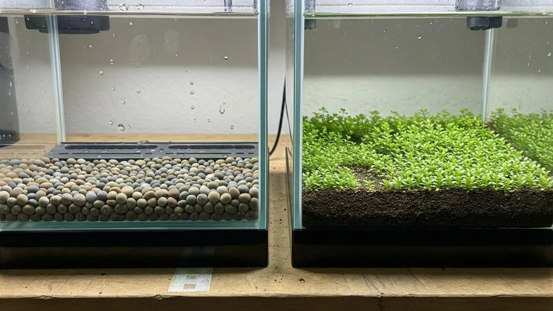 Coarse aquarium gravel over an undergravel filter compared with fine planted aquasoil