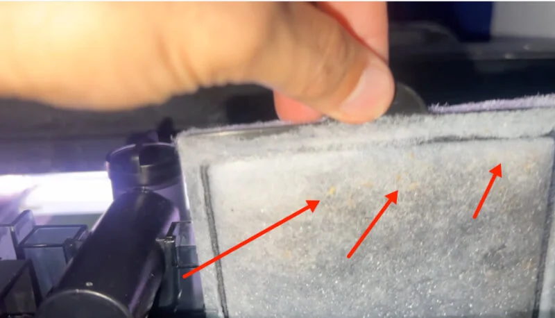 aquarium debris caught in a hang on back filter