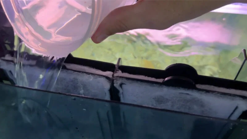 priming a hang on back filter in a 40 gallon aquarium