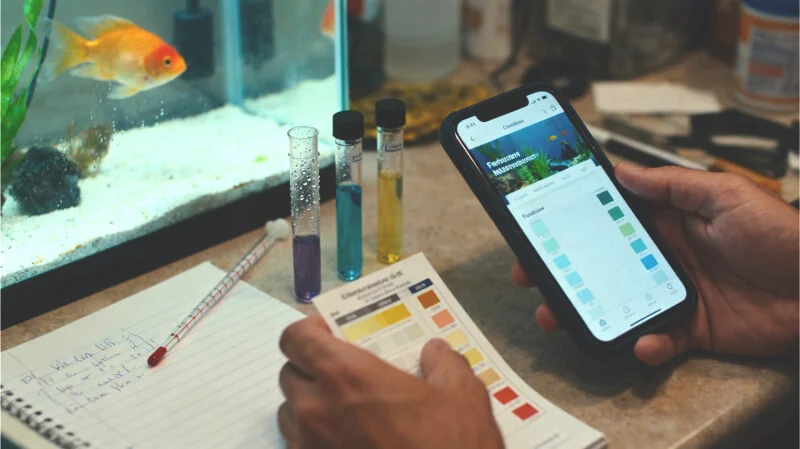 Aquarium owner checking water parameters while researching fish care recommendations