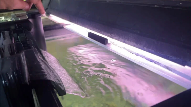 water flow from an hob filter installed in a fish tank